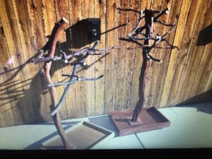 Custom Manzanita Bird Perch Kits